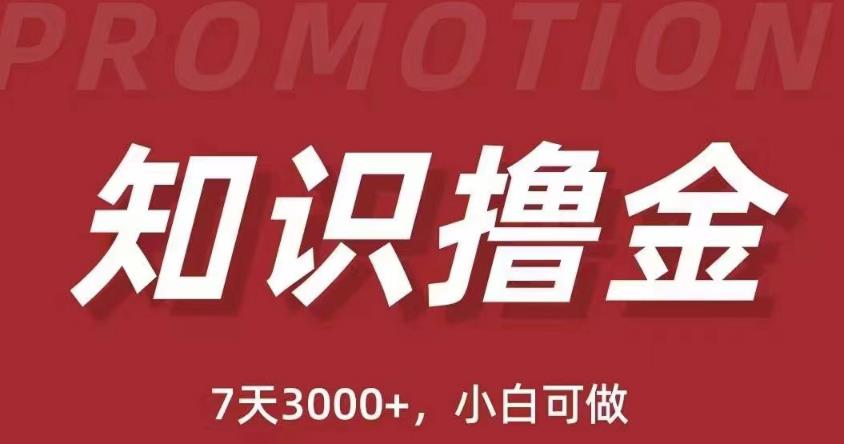 【6323期】抖音知识撸金项目：简单粗暴日入1000+执行力强当天见收益(教程+资料)