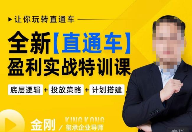 【6393期】玺承·全新直通车盈利实战特训课，从​底层逻辑详细拆解，从底层，策略到搭建，让你玩转直通车
