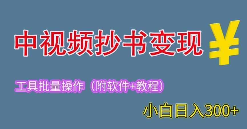 【6847期】2023中视频抄书变现（附工具+教程），一天300+，特别适合新手操作的副业（揭秘）
