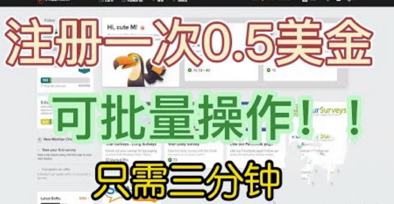 【6897期】国外项目注册一次0.5美金，只需三分钟无脑操作，可批量同时放大操作，小白工作室福利【揭秘】