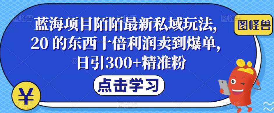 【7181期】蓝海项目陌陌最新私域玩法，20 的东西十倍利润卖到爆单，日引300+精准粉【揭秘】