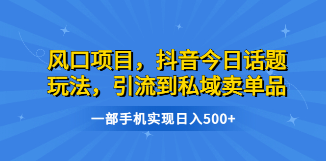 【7280期】风口项目，抖音今日话题玩法，引流到私域卖单品，一部手机实现日入500+
