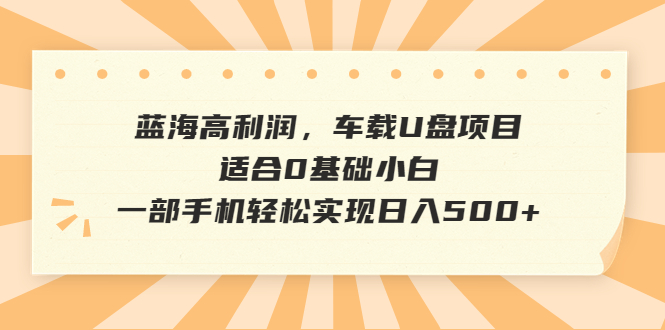 【7293期】蓝海高利润，车载U盘项目，适合0基础小白，一部手机轻松实现日入500+