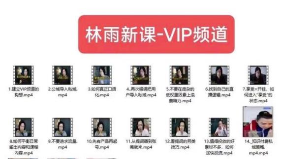 【7517期】林雨新课VIP频道，玩赚私域/朋友圈/社群
