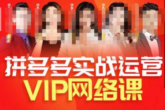 【7728期】推易拼多多VIP全套直播课程，拼多多店铺实操玩法+实战玩法选款内功+直通车高阶等