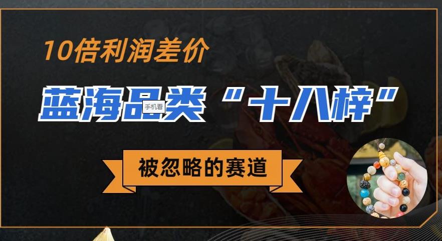 【7735期】被忽略的蓝海品类“十八籽”，10倍的利润差价，同行一天几十单【揭秘】