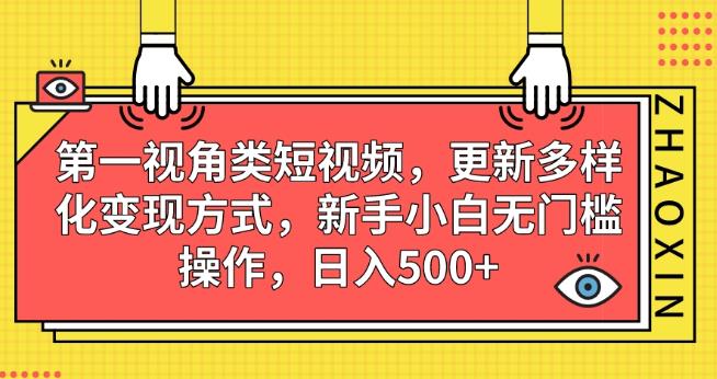 【7929期】第一视角类短视频，更新多样化变现方式，新手小白无门槛操作，日入500+【揭秘】