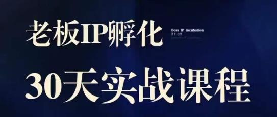 【8109期】诸葛·2023老板IP实战课，实体同城引流获客，IP孵化必听