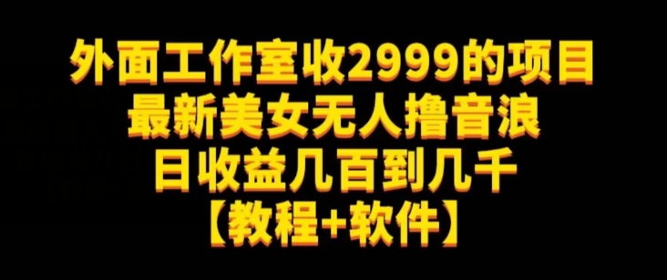 【8810】外面工作室收2999的项目最新美女无人撸音浪日收益几百到几千【教程+软件】（仅揭秘）