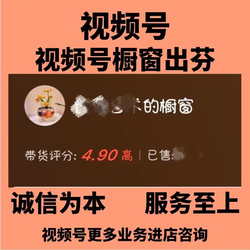 【8902】视频号DSR掘金术