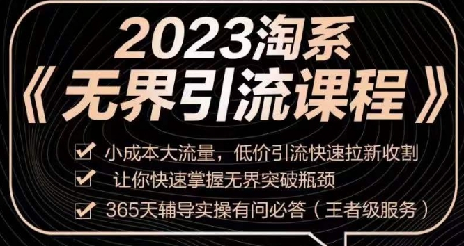 【9159】2023淘系无界引流实操课程，​小成本大流量，低价引流快速拉新收割，让你快速掌握无界突破瓶颈