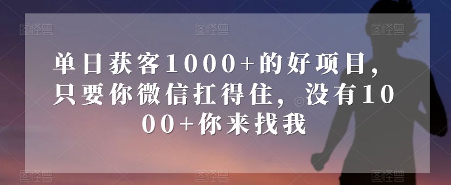 【9683】单日获客1000+的好项目，只要你微信扛得住，没有1000+你来找我【揭秘】