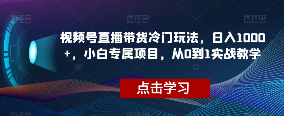 【9692】视频号直播带货冷门玩法，日入1000+，小白专属项目，从0到1实战教学【揭秘】
