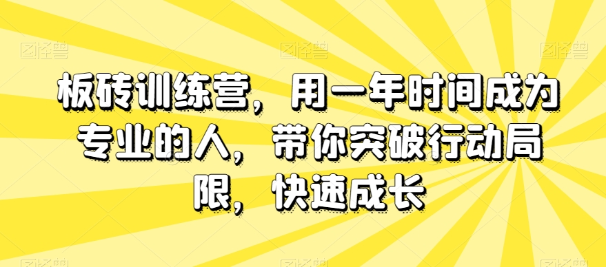 【9705】板砖训练营，用一年时间成为专业的人，带你突破行动局限，快速成长