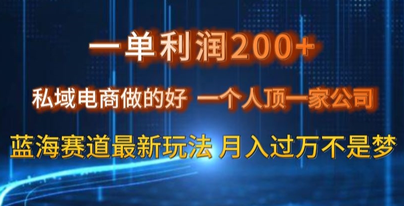 【10225】一单利润200私域电商做的好，一个人顶一家公司蓝海赛道最新玩法【揭秘】