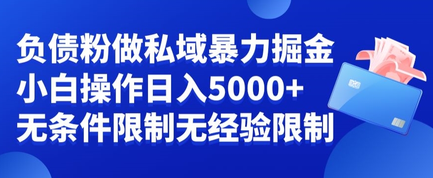 【10577】负债粉私域暴力掘金，小白操作入5000，无经验限制，无条件限制【揭秘】