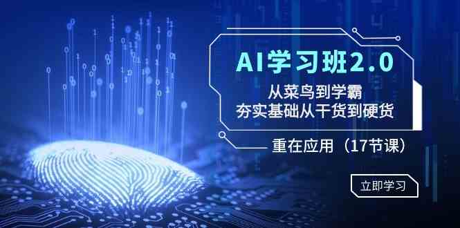 【10956】AI学习班2.0：从菜鸟到学霸，夯实基础从干货到硬货，重在应用（17节课）