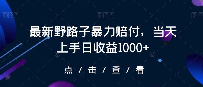 【11008】最新野路子暴力赔付，当天上手日收益1000+【仅揭秘】