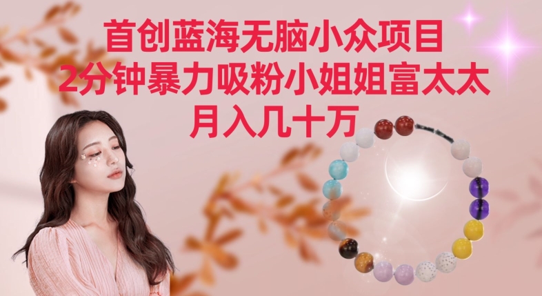 【11416】首创蓝海无脑小众项目，2分钟暴力吸粉小姐姐富太太，月入几十万【揭秘】