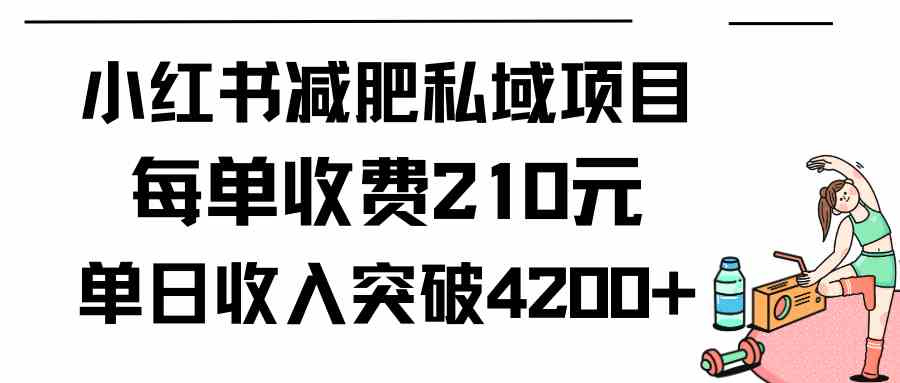 【11625】小红书减肥私域项目每单收费210元单日成交20单，最高日入4200+