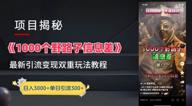 【12150】一千个野路子信息差最新玩法教程-变现+引流的玩法具体拆解【揭秘】