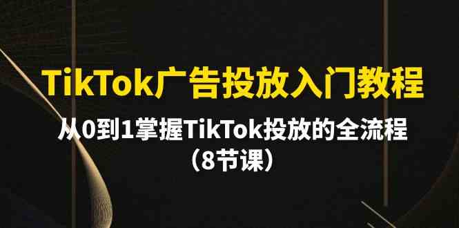【12244】TikTok广告投放入门教程，从0到1掌握TikTok投放的全流程（8节课）