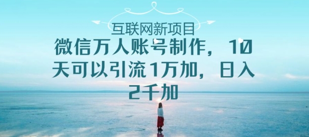 【12282】微信万人账号制作，10天可以引流1万加日入2千加