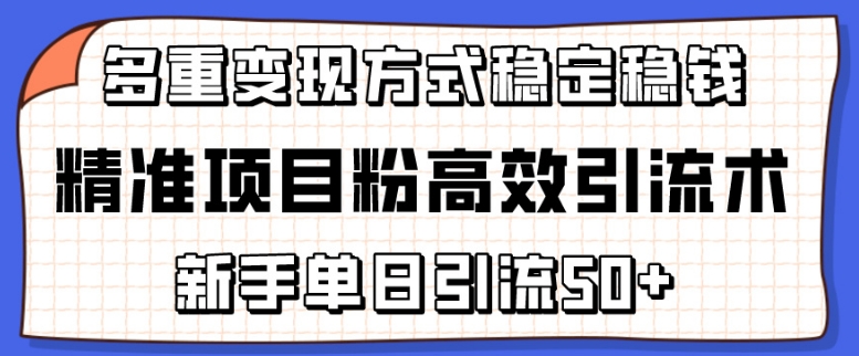 【12345】精准项目粉高效引流术，新手单日引流50+，多重变现方式稳定赚钱【揭秘】