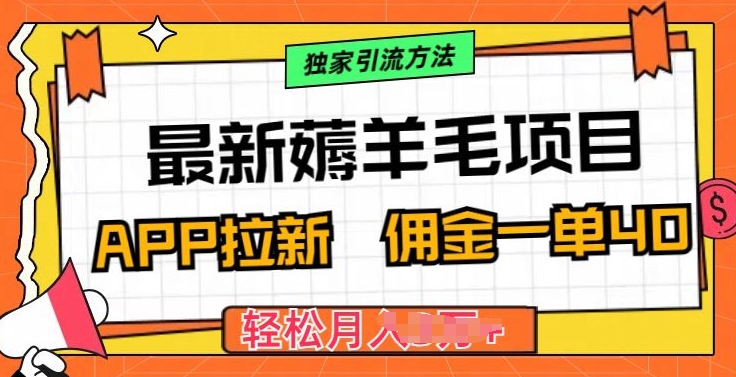 【12517】最新薅羊毛项目，利用购物APP拉新，佣金一单40.配合独家引流方法