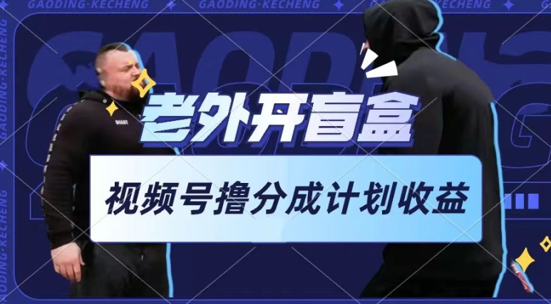 【12860】老外开盲盒视频，撸视频号分成计划收益，每天只需一小时，新手小白轻松上手【揭秘】