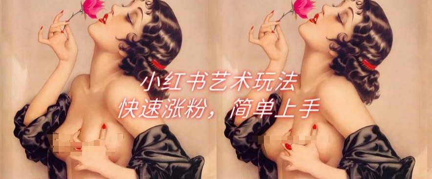【13001】小红书艺术玩法，快速涨粉，简单上手