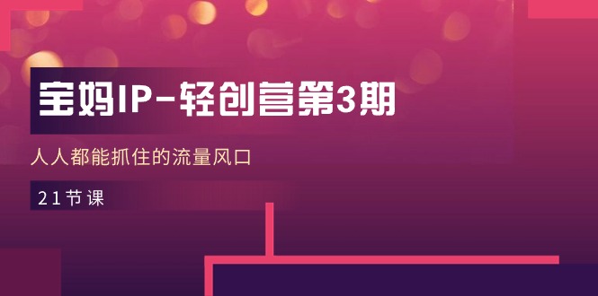 【13100】宝妈IP-轻创营第3期，人人都能抓住的流量风口（21节课）