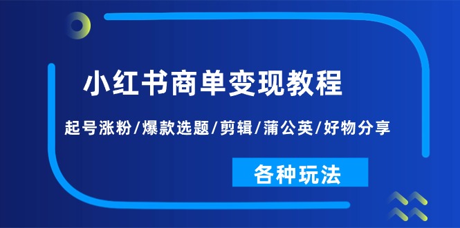 【13195】小红书商单变现教程：起号涨粉/爆款选题/剪辑/蒲公英/好物分享/各种玩法