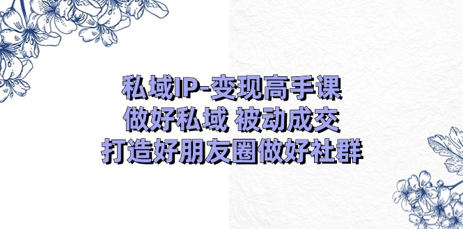 【13223】私域IP-变现高手课：做好私域 被动成交，打造好朋友圈做好社群（18节）