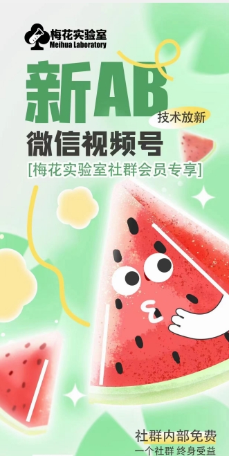 【13530】梅花实验室2024年AB技术视频号AB合成破解版