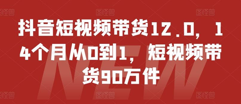【13554】抖音短视频带货12.0，14个月从0到1，短视频带货90万件