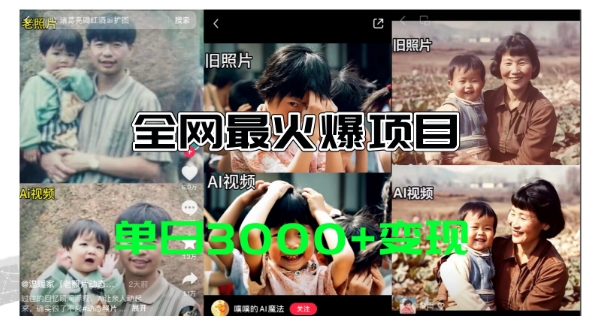 【13556】全网爆火的AI让老照片动起来教程，蹭热点日赚3k+，内含免费工具一键可生成【揭秘】
