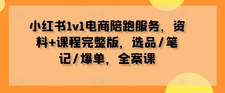 【14458】小红书1v1电商陪跑服务，资料+课程完整版，选品/笔记/爆单，全案课