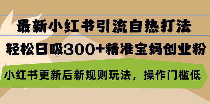 【15082】最新小红书引流自热打法，轻松日吸300+精准宝妈创业粉，小红书更新后新