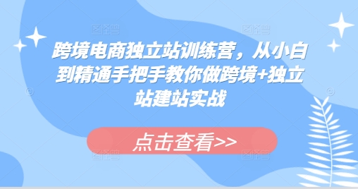 【15601】跨境电商独立站训练营，从小白到精通手把手教你做跨境+独立站建站实战