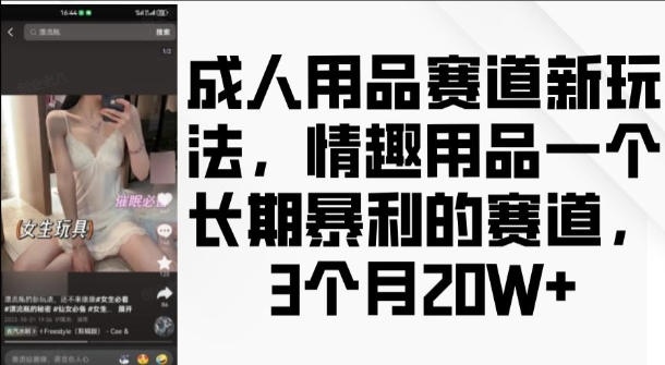 【15663】成人用品赛道新玩法，情趣用品一个长期暴利的赛道，3个月收益20个【揭秘】