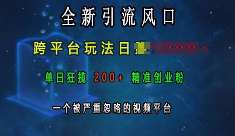 【15810】全新引流风口，跨平台玩法日入上k，单日狂揽200+精准创业粉，一个被严重忽略的视频平台