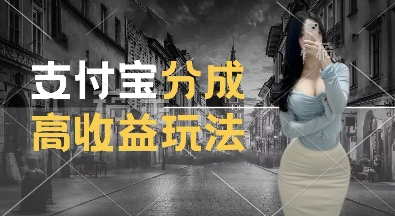 【15817】支付宝分成计划新玩法，利用交通事故视频，赚收益，轻松月入过W，操作简单【揭秘】