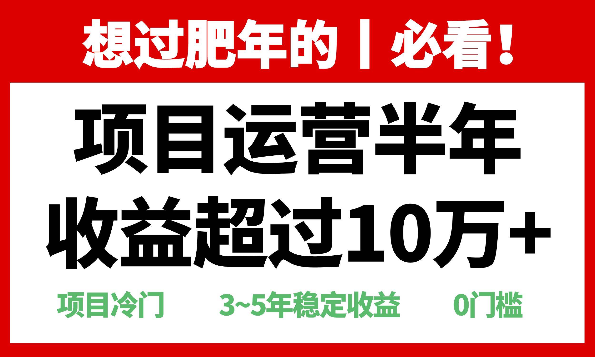 【15832】年前过肥年的必看的超冷门项目，半年收益超过10万+