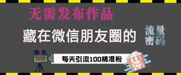 【16079】藏在微信朋友圈的流量密码，无需发布作品，单日引流100+精准创业粉【揭秘】