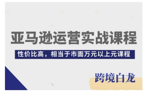 【16080】亚马逊运营实战课程，亚马逊从入门到精通，性价比高，相当于市面万元以上元课程