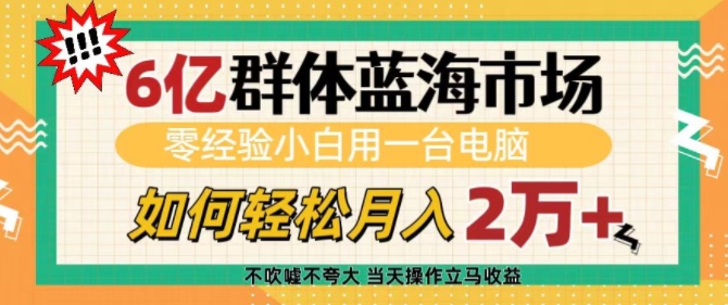 【16120】6亿群体蓝海市场，零经验小白用一台电脑，如何轻松月入过w【揭秘】