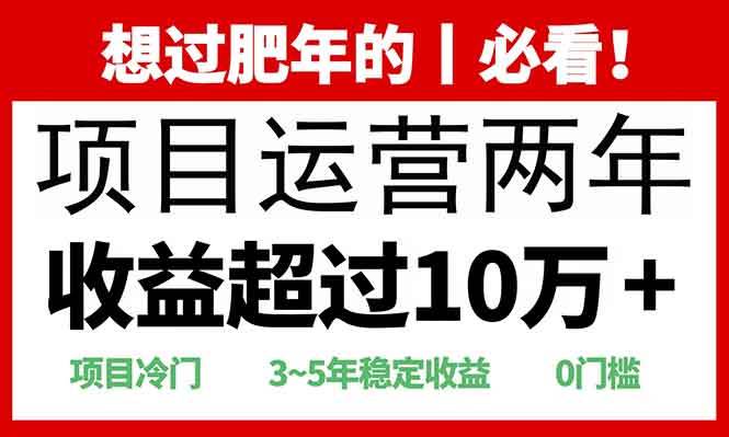 【16282】2025快递站回收玩法：收益超过10万+，项目冷门，0门槛