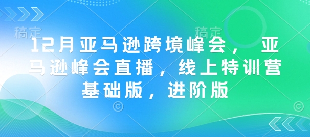 【16480】亚马逊官方讲堂12月亚马逊跨境峰会， 亚马逊峰会直播，线上特训营基础版，进阶版
