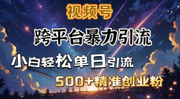 【16541】跨平台暴力引流，私域完美闭环，日引500+精准创业粉